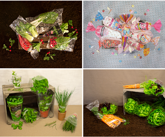 Food Packaging